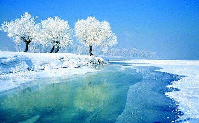 吉林日报，聚焦吉林发展动态