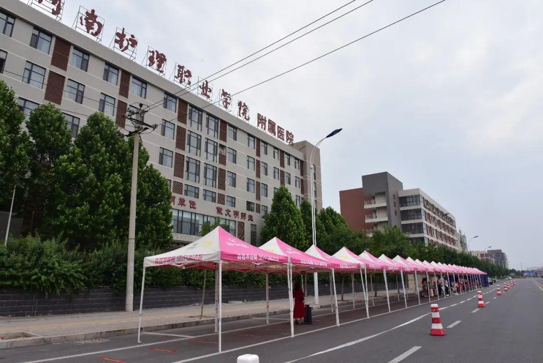 河南攻略,高效完成XX任务/掌握XX技能指南